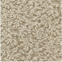 Tessuto americano  - june762